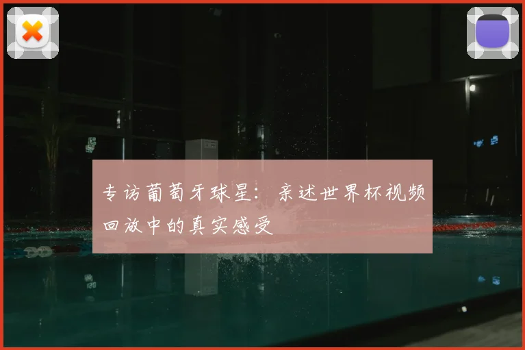 专访葡萄牙球星：亲述世界杯视频回放中的真实感受