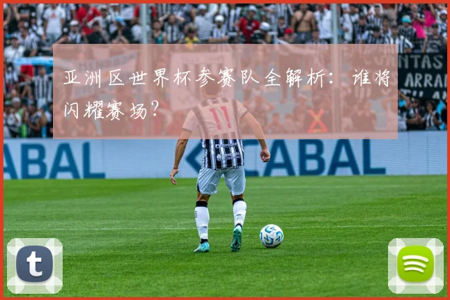 亚洲区世界杯参赛队全解析：谁将闪耀赛场？